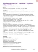 HP dasy-Komplex 2014 RGB_Seite_261